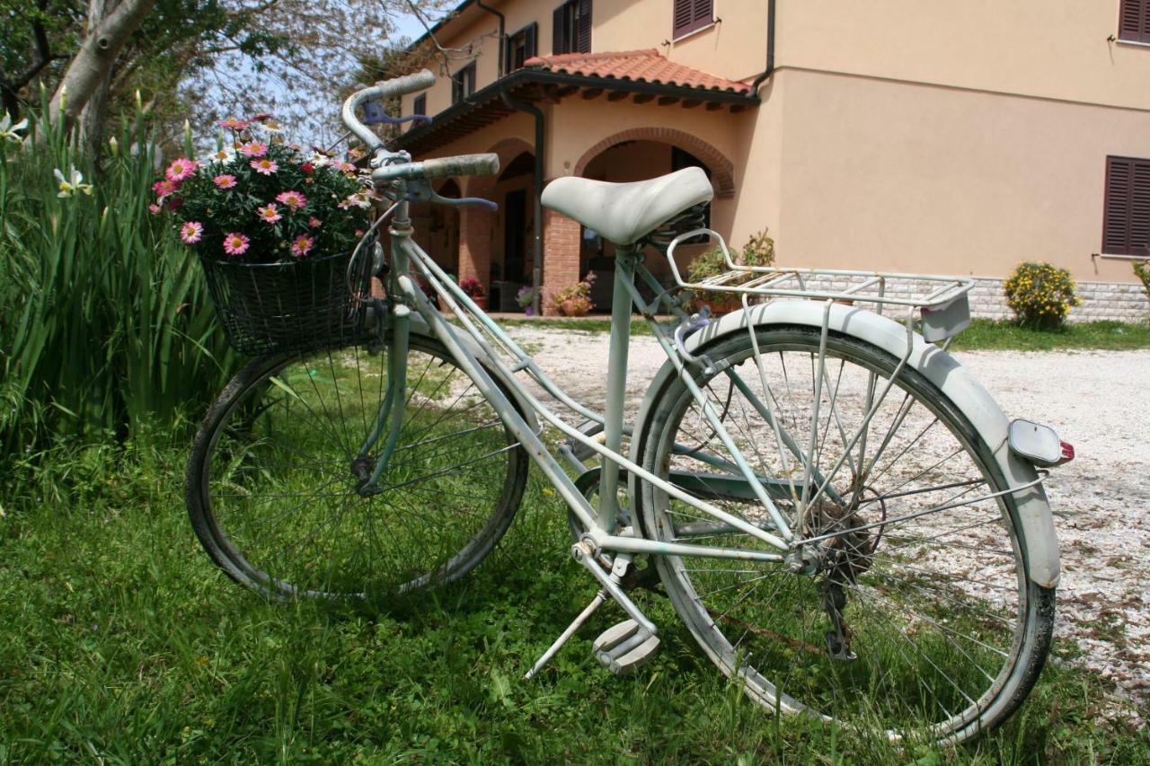 Agriturismo Diciocco Venturina Terme Exterior foto