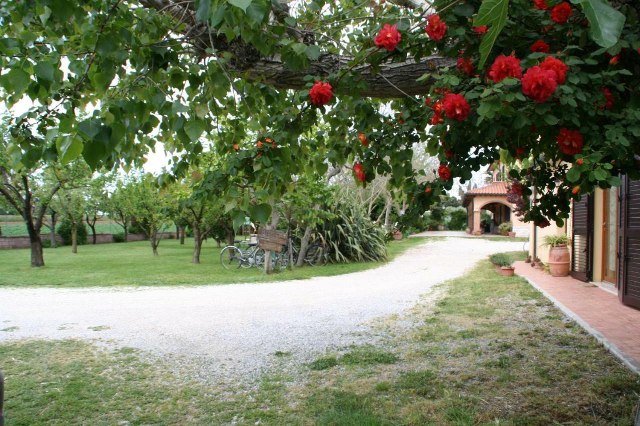 Agriturismo Diciocco Venturina Terme Exterior foto